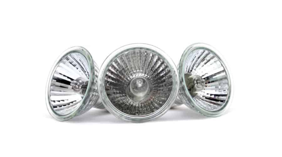 Three halogen bulbs on a white background